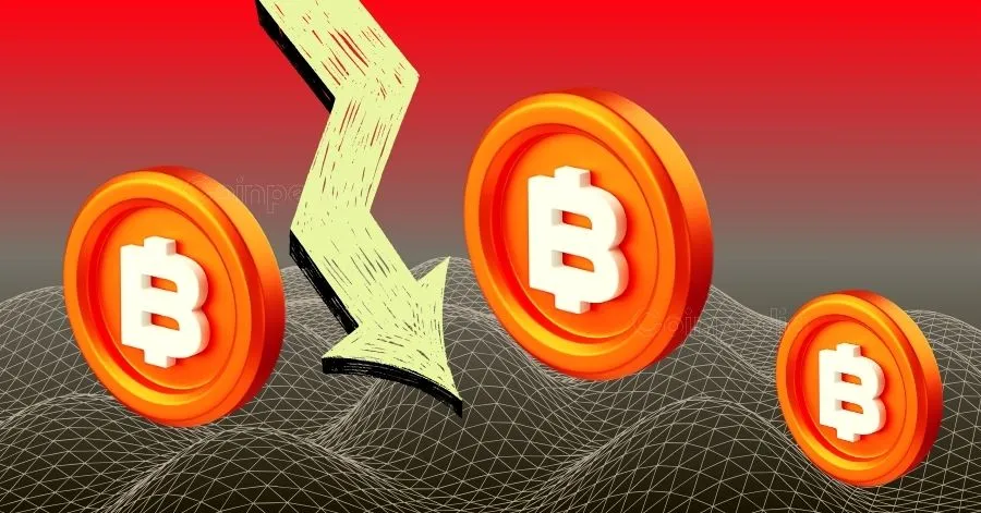 Bitcoin Crash Warning Goes Viral as X Post Flags Benner Cycle